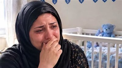 خلفت سبع مرات لزهرة الربيع 